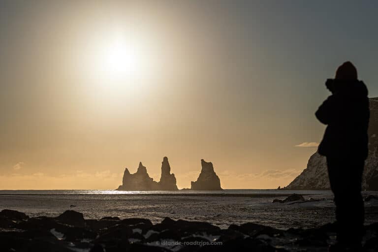 Observation de la mer sur une plage de sable noir dans le Sud de l'Islande