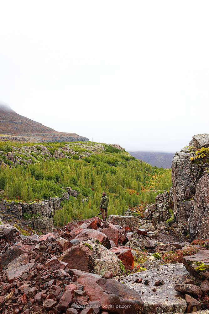 Automne en Islande Est
